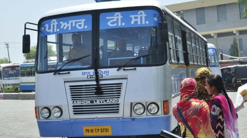 PRTC Buses PRTC Buses