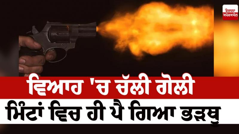 A shot fired at the wedding Haryana News in punjabi A shot fired at the wedding Haryana News in punjabi