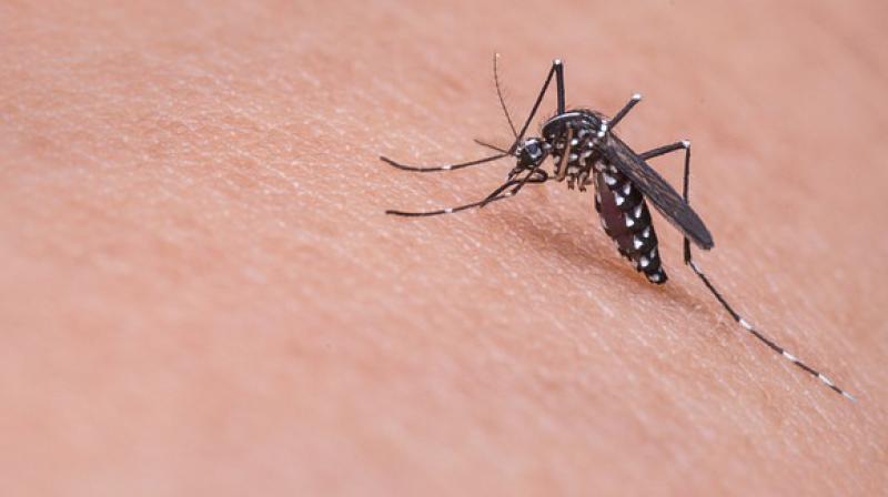 Dengue fever in Patna Dengue fever in Patna