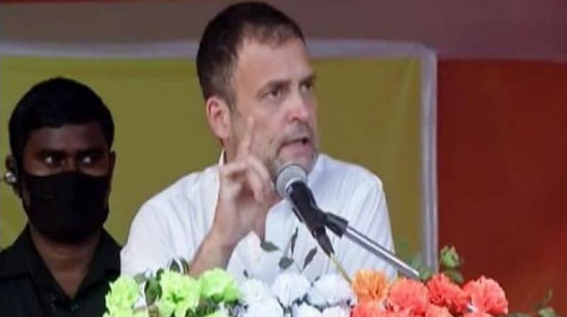 Rahul Gandhi 