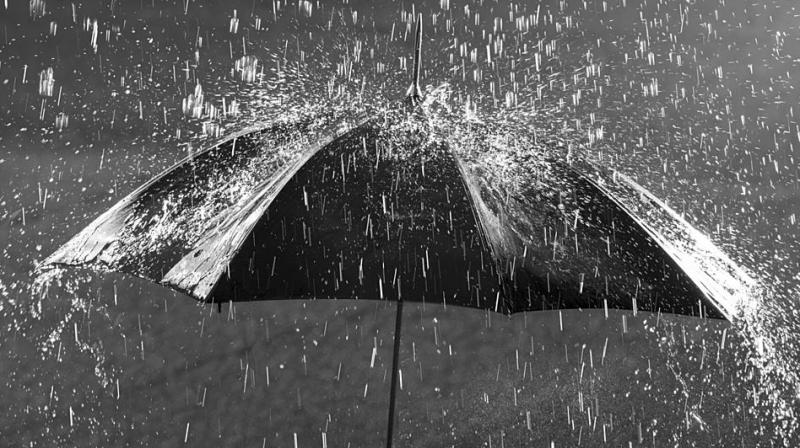 Rain Rain