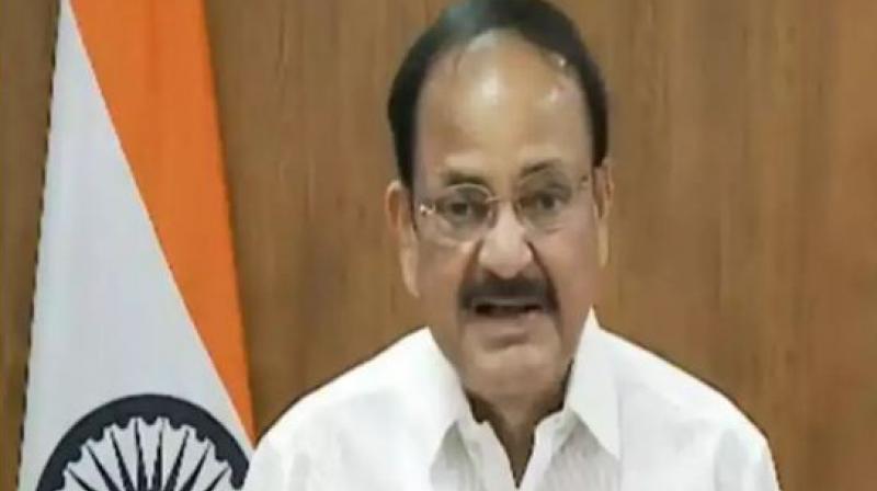 Vice President Naidu