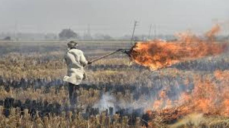 Nasa told to burn waste residues in Punjab and Haryana due to pollution Nasa told to burn waste residues in Punjab and Haryana due to pollution