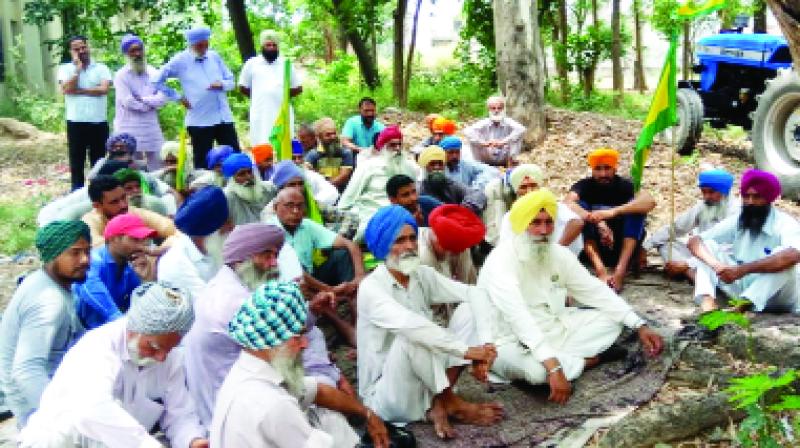 Farmers Protesting