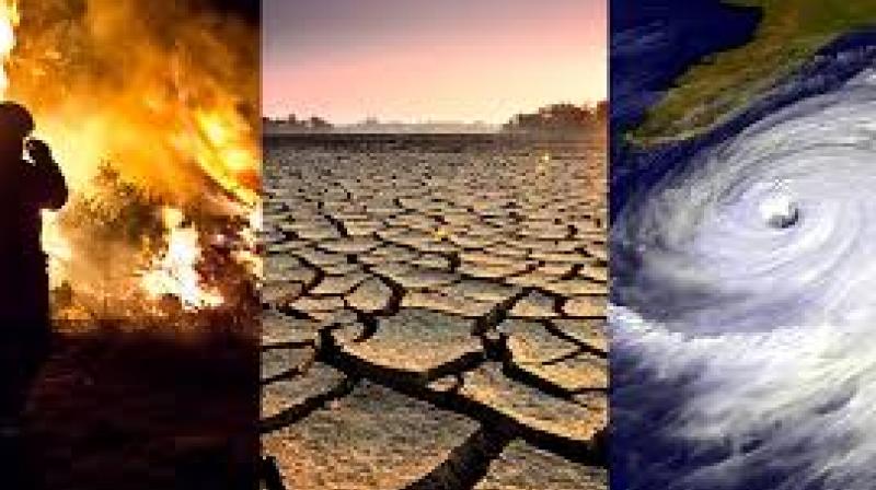 Effects of climate change likely already being felt in global food production Effects of climate change likely already being felt in global food production