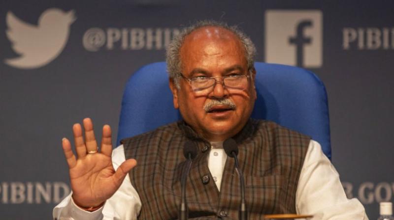 Agriculture Minister Narendra Singh Tomar Agriculture Minister Narendra Singh Tomar