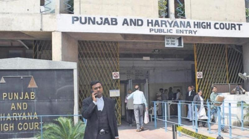 No place for public-spirited individuals in courts, only lawyers can represent: High Court No place for public-spirited individuals in courts, only lawyers can represent: High Court
