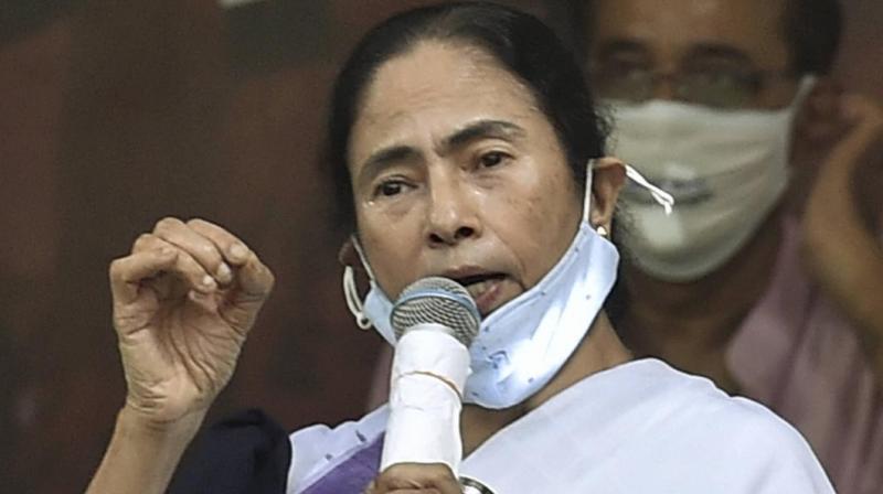 mamata