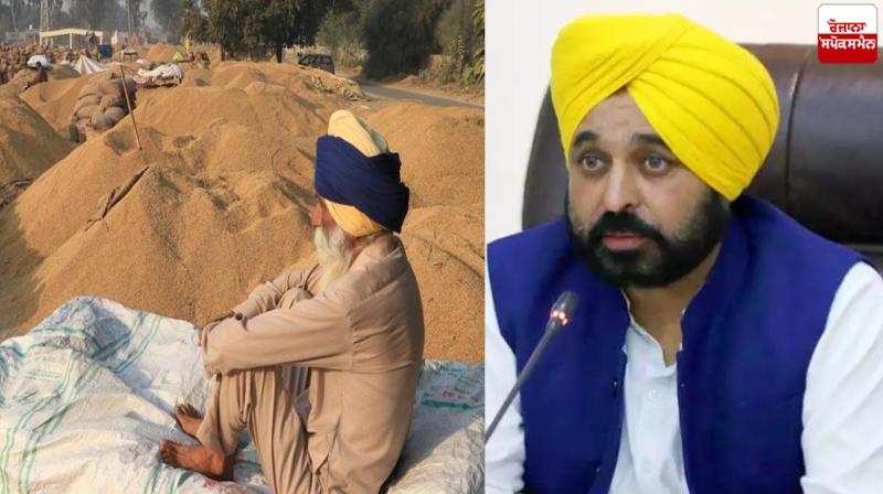 CM Bhagwant Mann reviewed wheat procurement