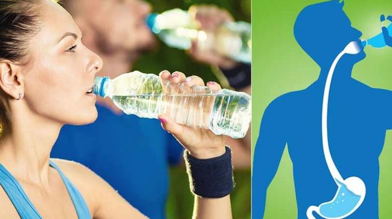 Drinking Water In Standing Position Drinking Water In Standing Position