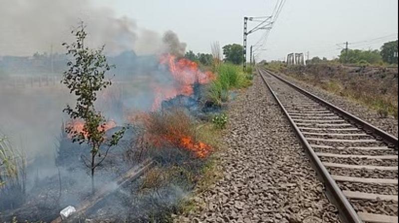 Chandigarh fire Chandigarh fire