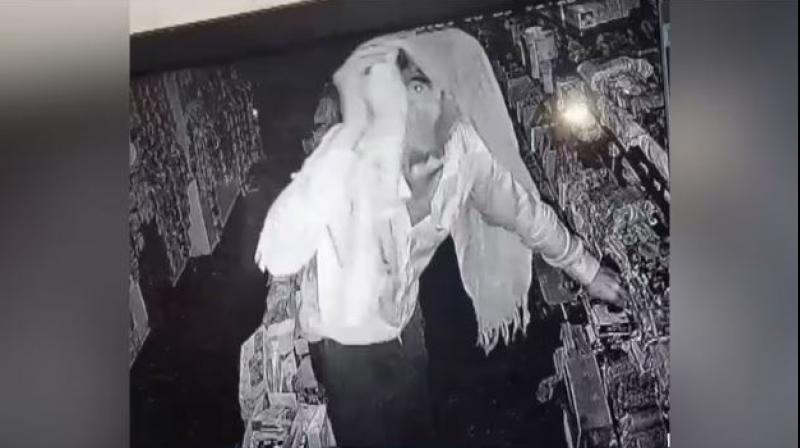 Thief enjoyed ice cream Thief enjoyed ice cream