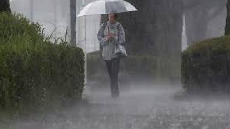 Heavy rain in Punjab Heavy rain in Punjab