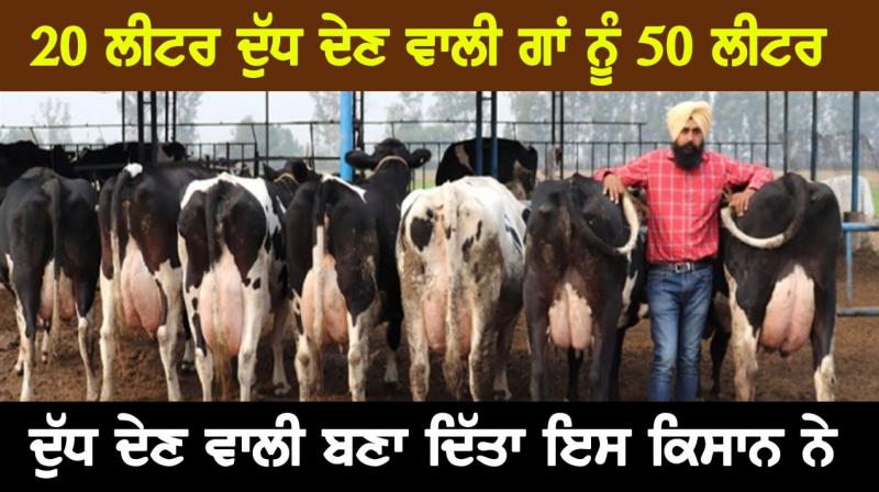 50 Litre Milk 50 Litre Milk