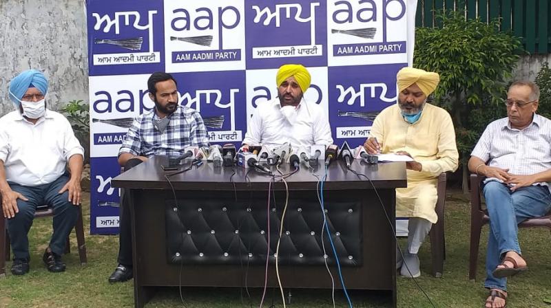 Bhagwant Mann and others 
