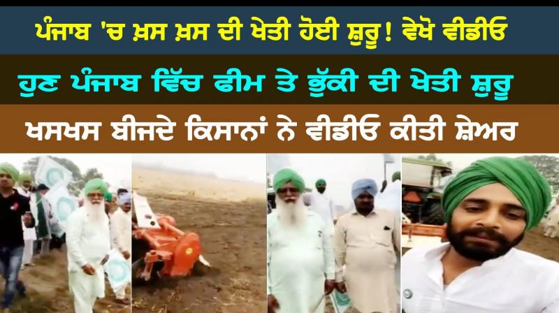 Opium cultivation started in Punjab Opium cultivation started in Punjab