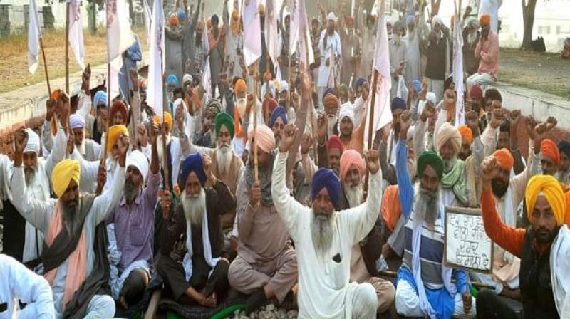 Farmer Protest Farmer Protest