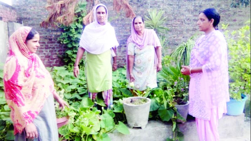 Bibi Kamaljit Kaur gives information about vegetables