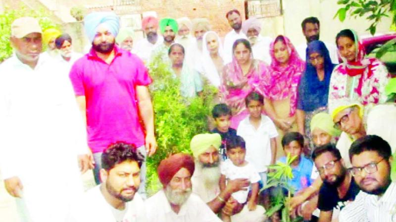 People during planting plants People during planting plants