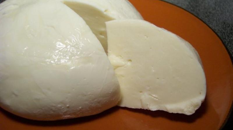 Cheese Cheese
