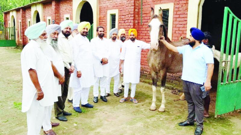 Balbir Singh Sidhu during visiting a horse Farm