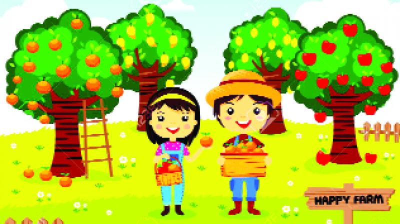 Garden Garden