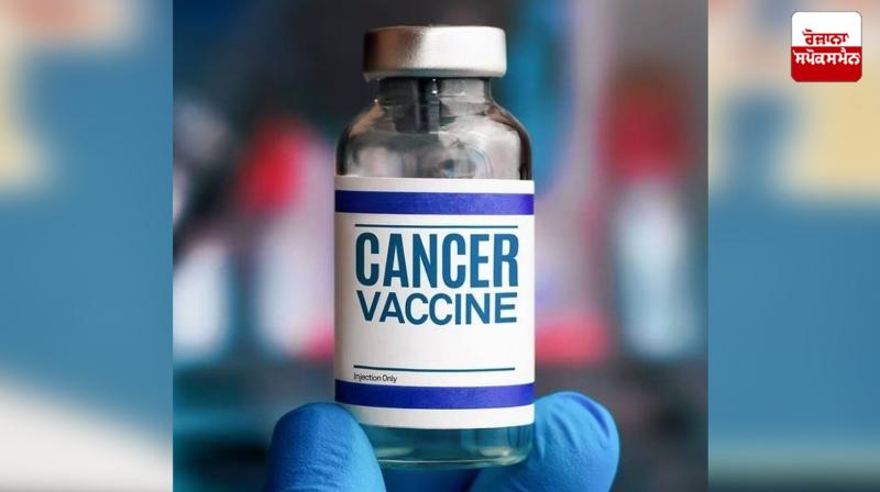Cancer vaccine ready! Russia makes big claim, may launch in early 2025 Cancer vaccine ready! Russia makes big claim, may launch in early 2025