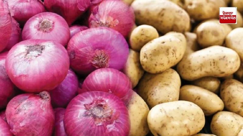 Vegetable Onion and Potato Prices in Punjab latest news in Punjabi today Vegetable Onion and Potato Prices in Punjab latest news in Punjabi today