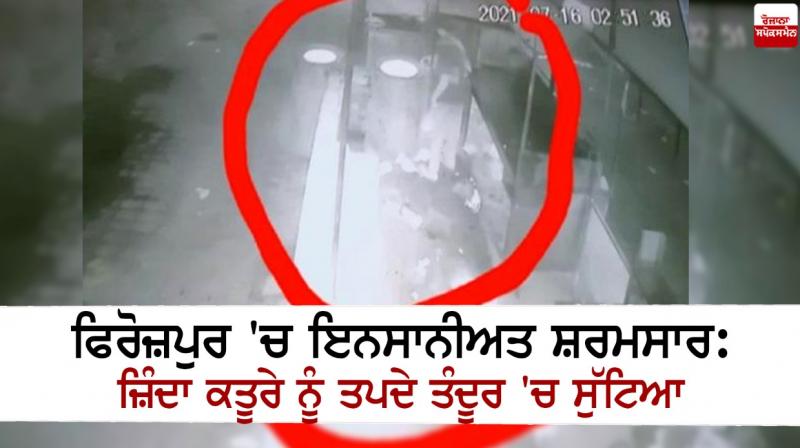 Humanity ashamed in Ferozepur: Live puppy thrown in hot oven Humanity ashamed in Ferozepur: Live puppy thrown in hot oven