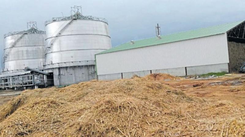 biogas