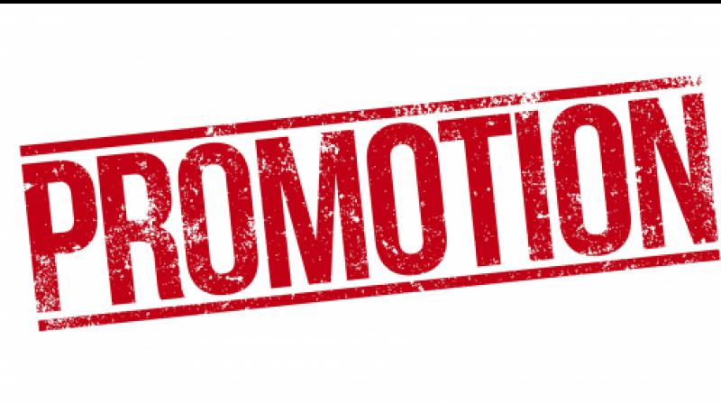 Two IPS officers promoted in Punjab Two IPS officers promoted in Punjab