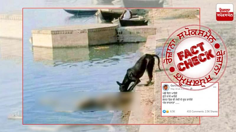 Fact Check: Old image of corpse floating in Ganga shared as recent ones