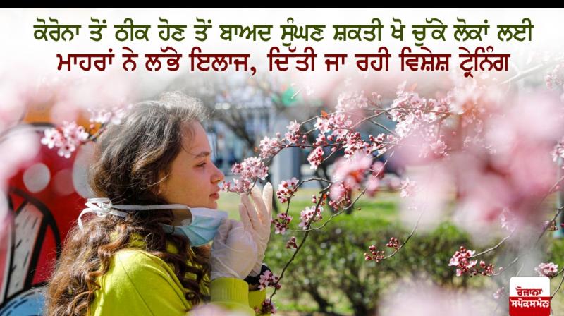 Loss of smell after covid Loss of smell after covid