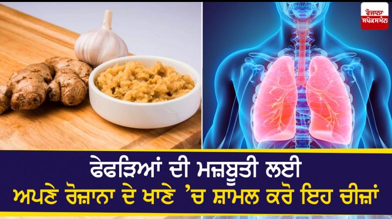 Lungs Lungs