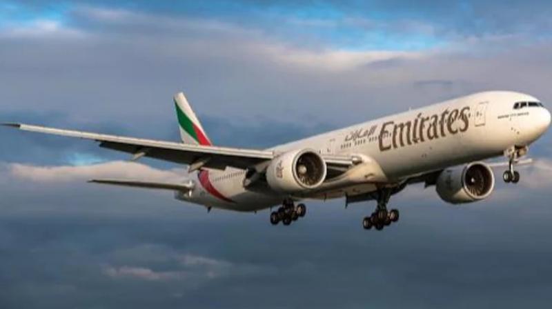 Man flies solo from Mumbai to Dubai on 360-seater flight Man flies solo from Mumbai to Dubai on 360-seater flight