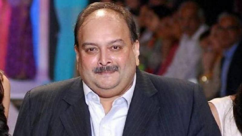 Mehul Choksi captured in Dominica Mehul Choksi captured in Dominica