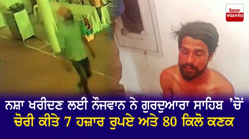 Youth stole Rs 7,000 and 80 kg of wheat from Gurdwara Sahib for drugs Youth stole Rs 7,000 and 80 kg of wheat from Gurdwara Sahib for drugs