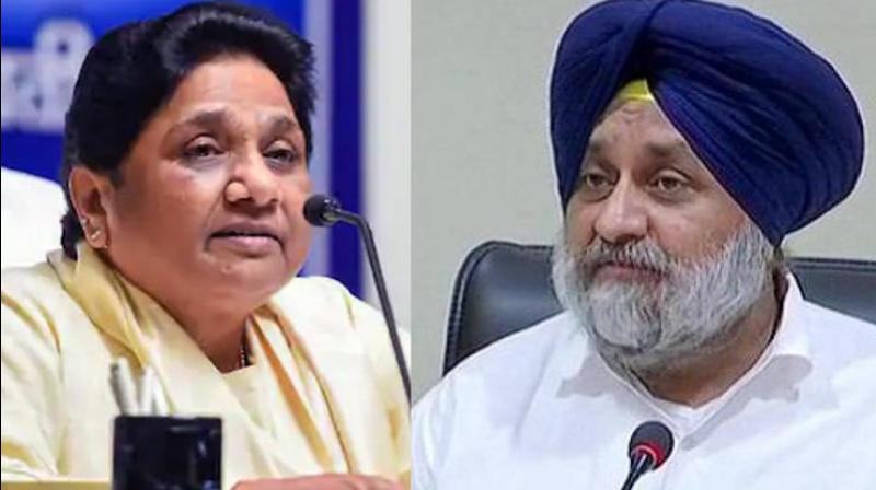 Shiromani Akali Dal ready to give up 30 seats for BSP?