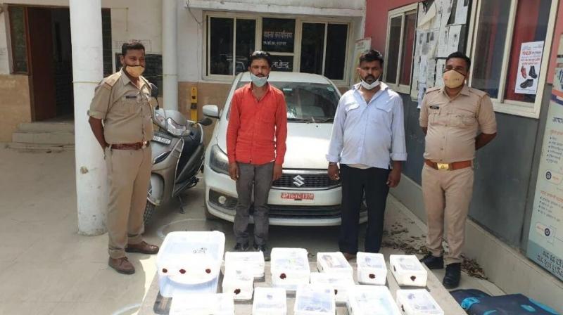 5 crores thievery by Servant in Noida 5 crores thievery by Servant in Noida