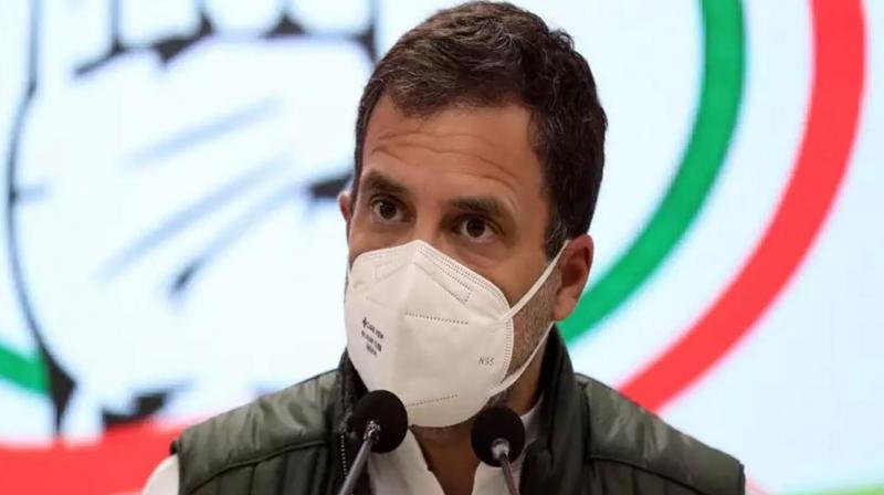Number of ministers increased, but not of vaccines: Rahul Gandhi Number of ministers increased, but not of vaccines: Rahul Gandhi