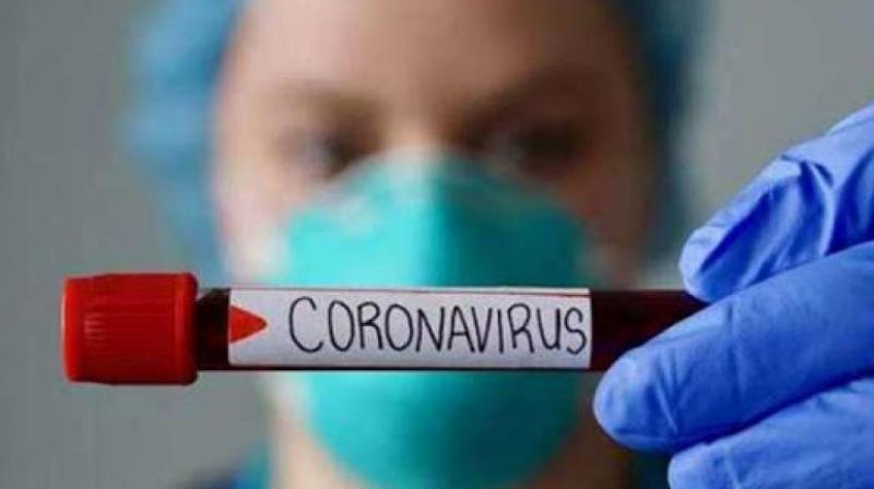 Corona Virus Corona Virus
