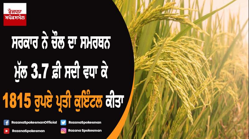 Paddy MSP hiked by 3.7% to Rs 1,815 per quintal for 2019-20 crop season