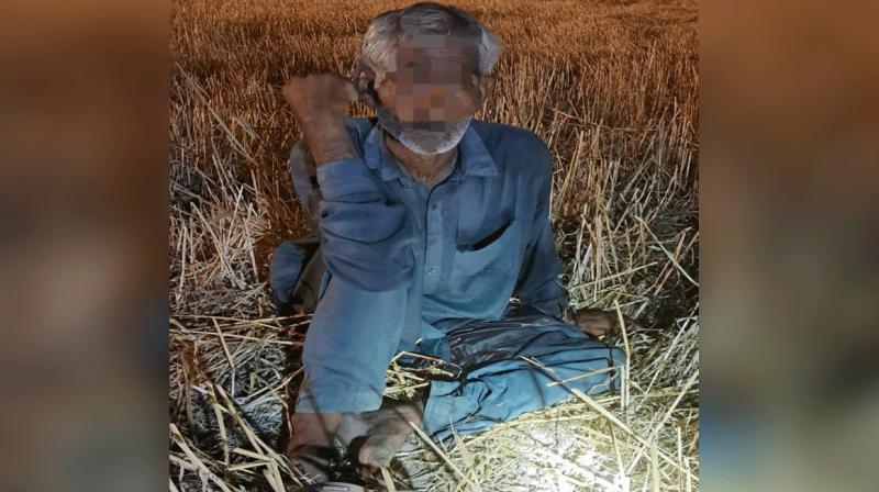 1 Pakistani intruder arrested at Tarn Taran border News in punjabi 1 Pakistani intruder arrested at Tarn Taran border News in punjabi