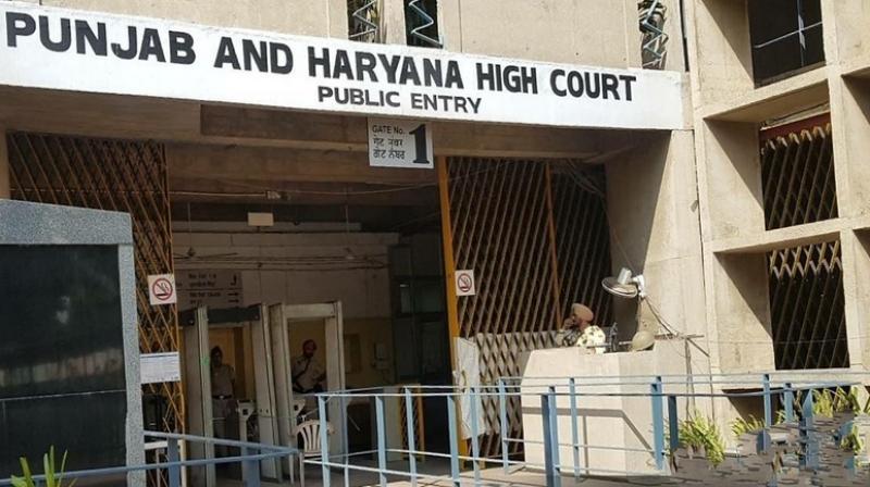 High court gives nod to the recruitment of 5994 ETT teachers in Punjab High court gives nod to the recruitment of 5994 ETT teachers in Punjab