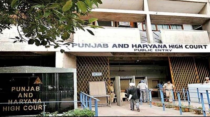 punjab and haryana high court punjab and haryana high court