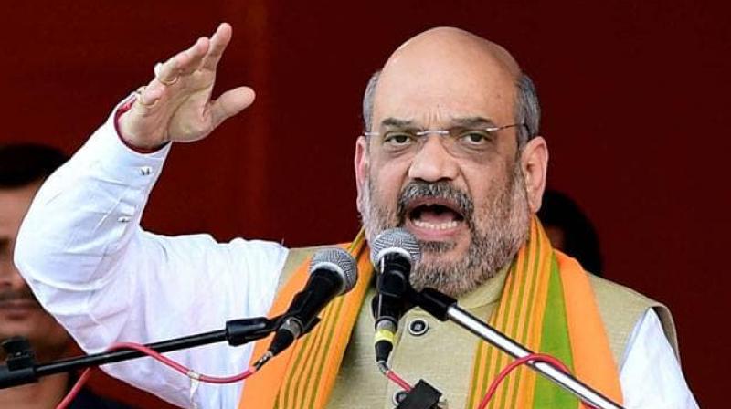 BJP will form govt in Haryana with absolute majority: Amit Shah BJP will form govt in Haryana with absolute majority: Amit Shah