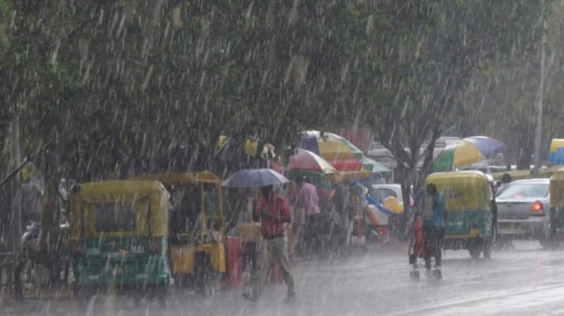 Rain in Chandighar