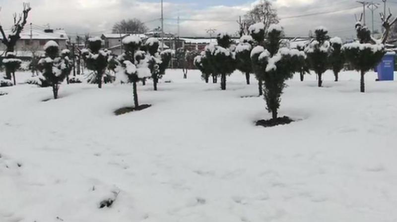 Snowfall Snowfall
