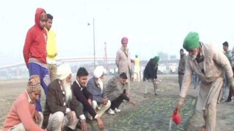 Farmers Farmers