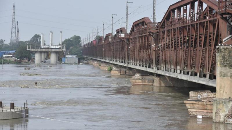 Yamuna river